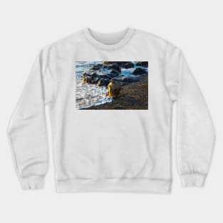 Diving Helmet In Sea Foam Crewneck Sweatshirt